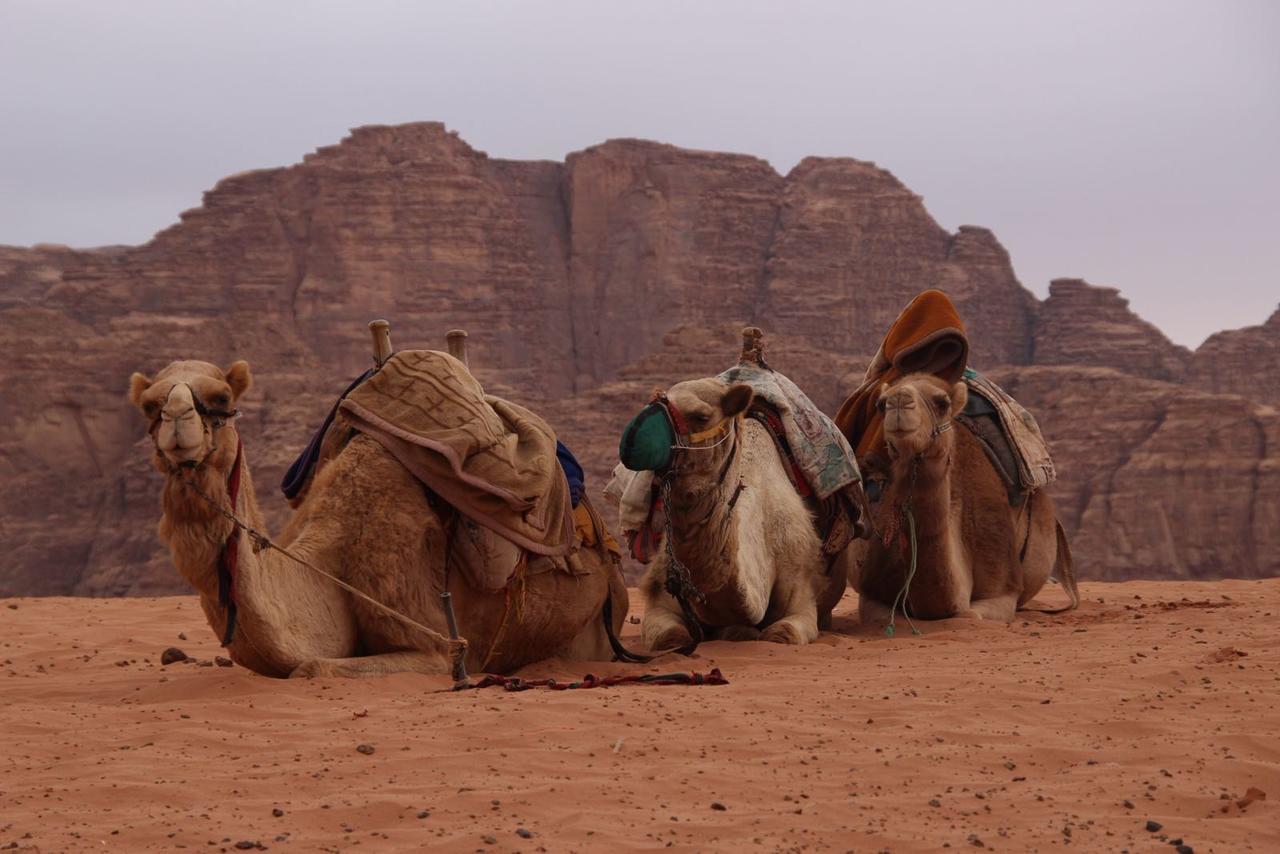Wadi Rum Desert Secret Camp Вади Рум Екстериор снимка