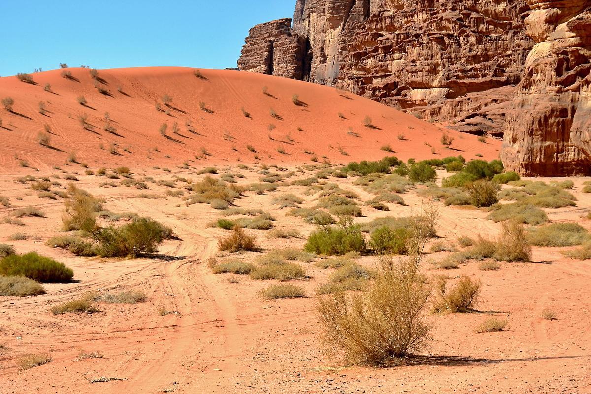 Wadi Rum Desert Secret Camp Вади Рум Екстериор снимка